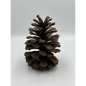 Large 7 Inch Natural Pine Cone Rustic Home Decor Holiday Crafts Art
